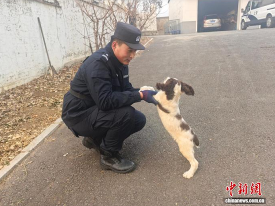 ���Ҳ������c�[�����B(y��ng)�H�ܶ�����ʯ���� �z