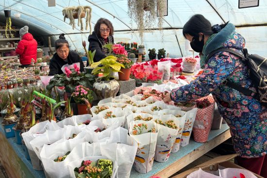 ����ُ�I������