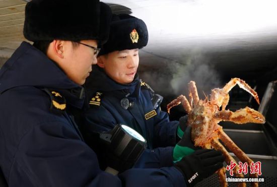 �L�����P(gu��n)���٬q�����P(gu��n)�P(gu��n)�T���M�ڵ���з�_չ��򞹤�����̽��V �z