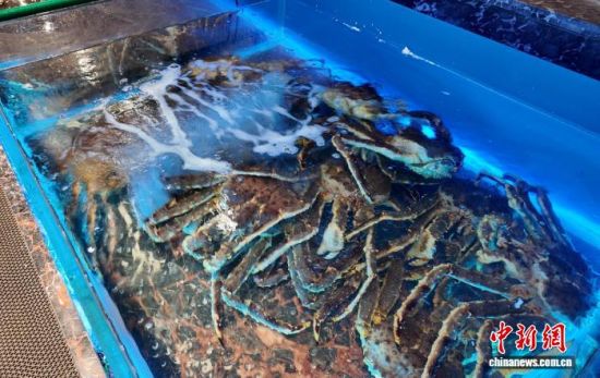 ���B(y��ng)����ĵ���з����߅��ί������ ���D