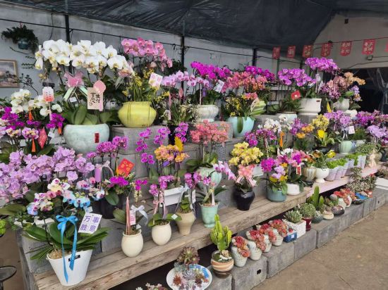 �Ӽ���ί������/���D