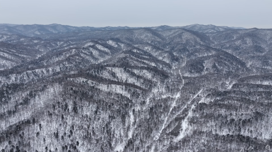 ���AƤ���(zh��n)ĵ���X�� �������ý�w���Ĺ��D