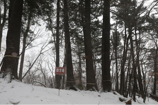 �ķ��������ڵ��� �������ý�w���Ĺ��D