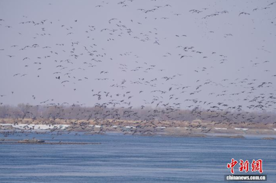 �B��^�������Ժ��������� �z