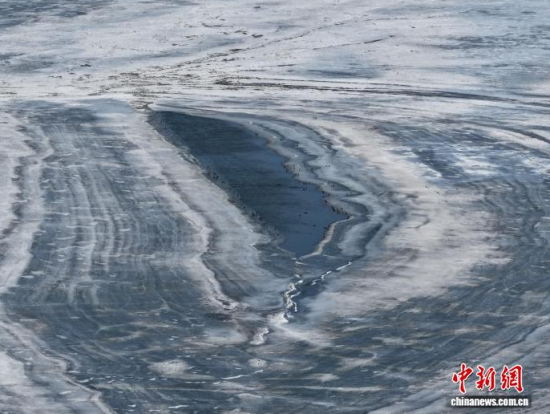 3��16���������(zh��n)�l�������������������BͣЪҒʳ���������� �z