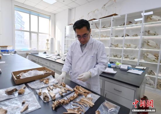 3��20���������L�����̴�������ӱ��������� �z