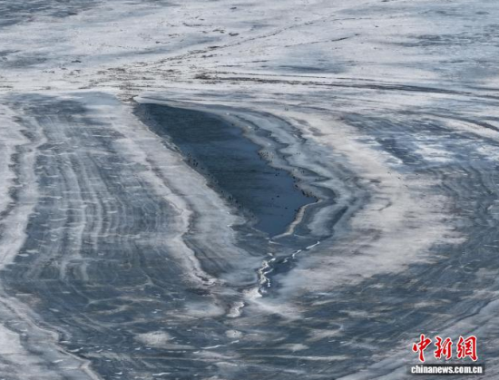 3��16�գ������(zh��n)�l�������������ڣ����B(ni��o)ͣЪҒʳ���������� �z