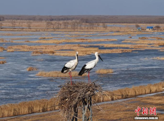 3��16���������(zh��n)�l��һ��(du��)�|�����X��ĪĪ���صĳ����������������� �z