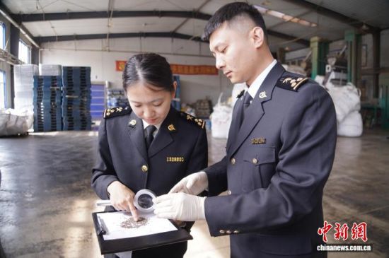 �L(zh��ng)��ɽ���P(gu��n)�P(gu��n)�T�_(k��i)չ�����K�Ѳ��(y��n)���L(zh��ng)�����P(gu��n)���D