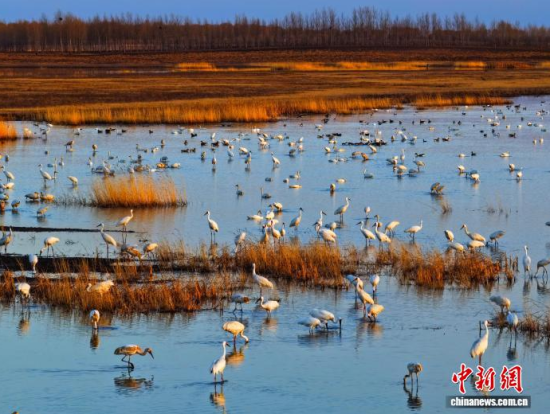 4��11���������(zh��n)�l�����Q����ϡ�B���ĪĪ����Ғʳ���������� �z